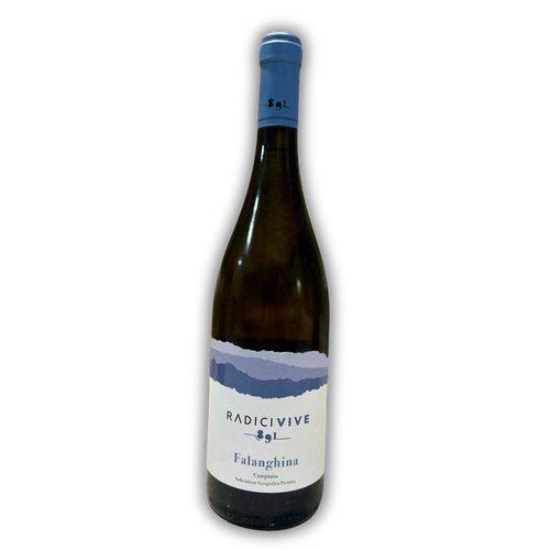 Vino bianco Falanghina - frigobar Anima Suite